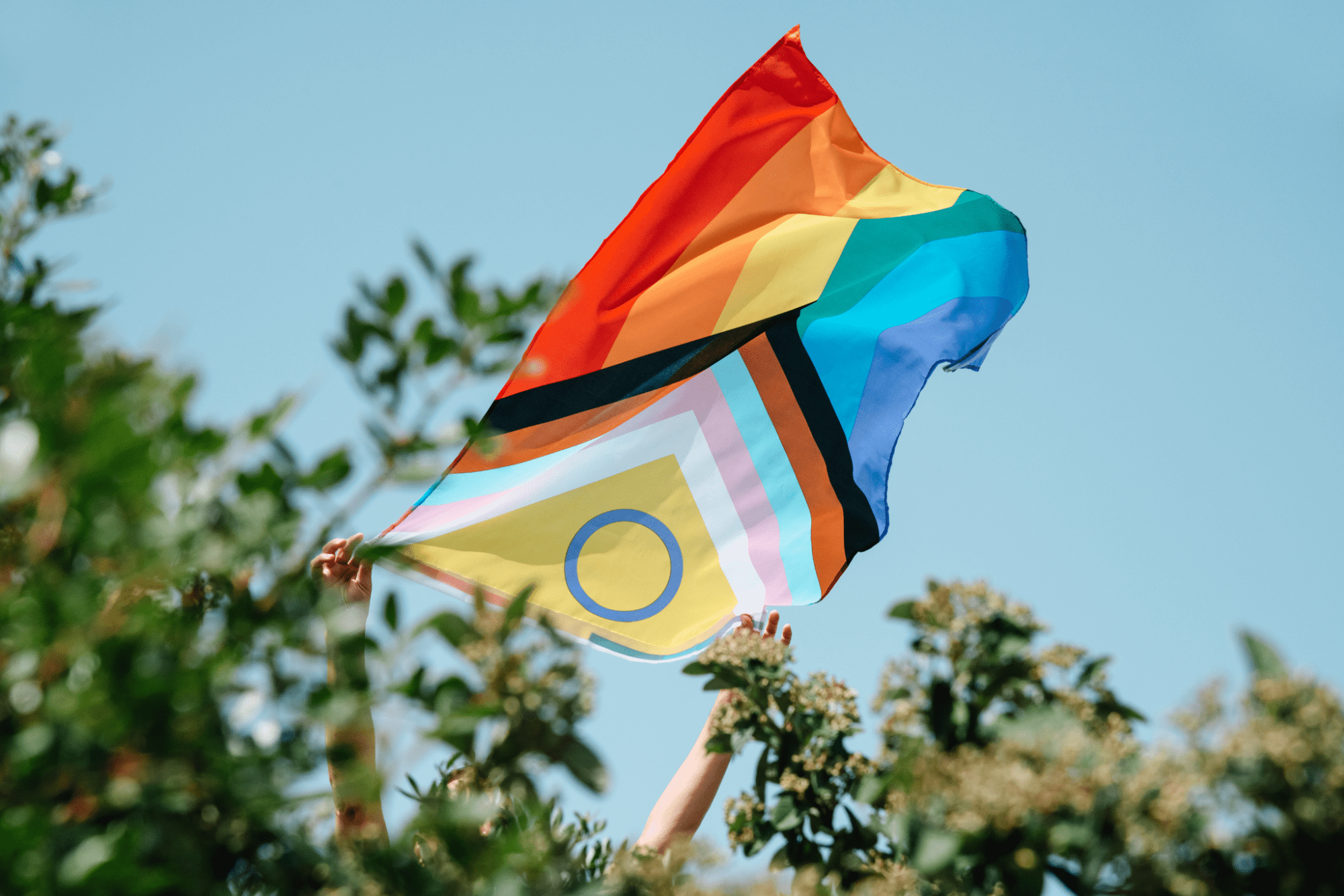 Unes mans subjecten una bandera lgtbi en un entorn natural on es veuen arbustos